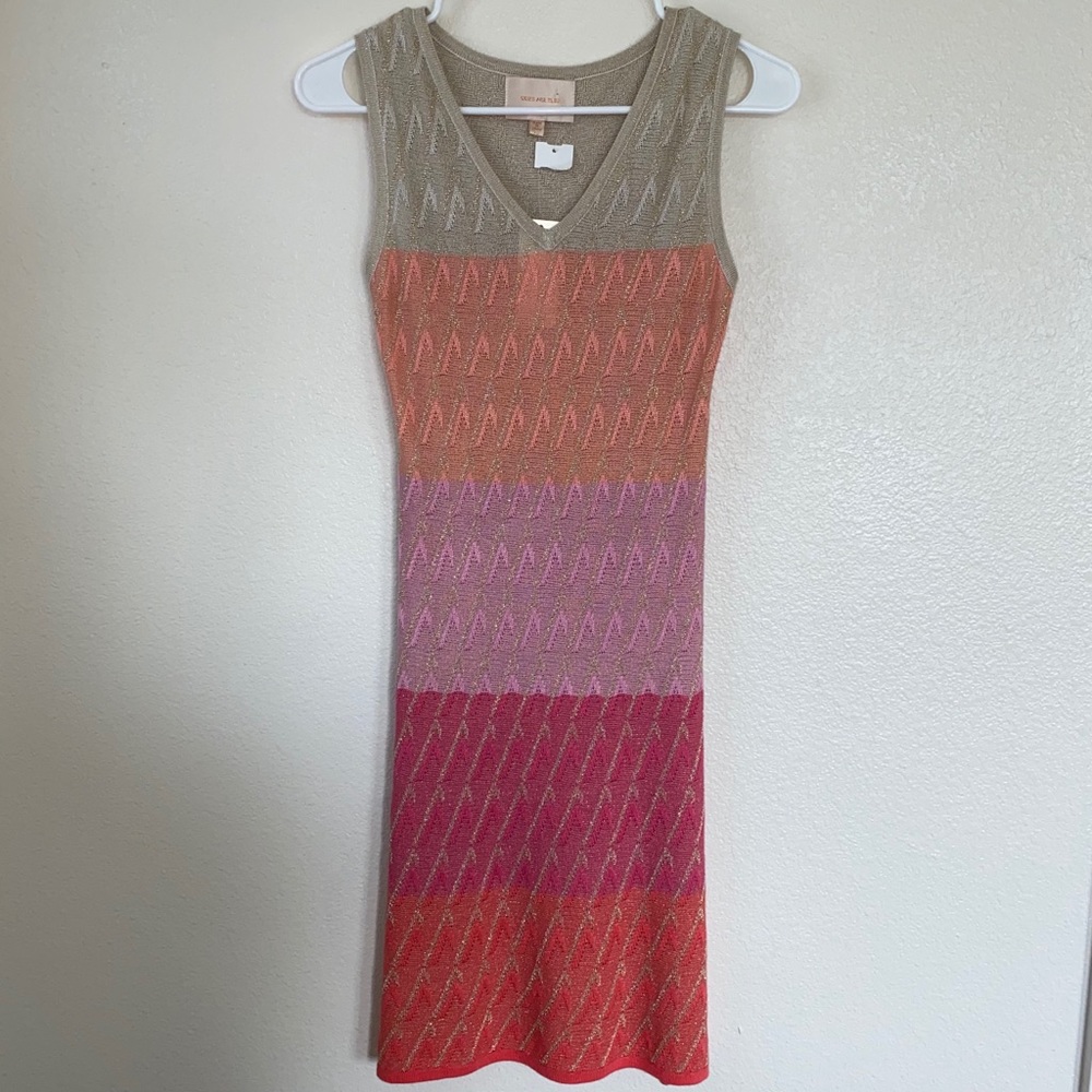 NWT Gold & Pink Sheer Dress